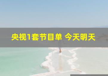 央视1套节目单 今天明天